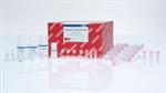 74134 | RNeasy Plus Mini Kit (50)