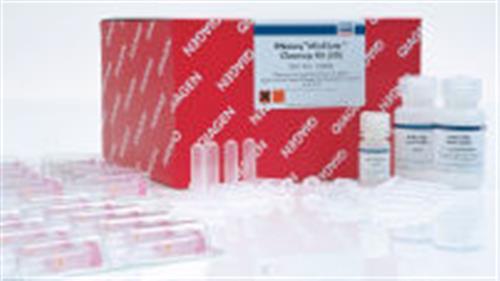 74204 | RNeasy MinElute Cleanup Kit (50)