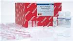 74204 | RNeasy MinElute Cleanup Kit (50)