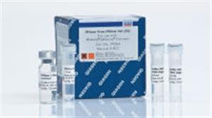 79254 | RNase-Free DNase Set (50)