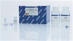 28104 | QIAquick PCR Purification Kit (50)