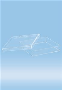 82.9923.422 | Petri dish, square, height: 20 mm, transparent, without ventilation cams, sterile