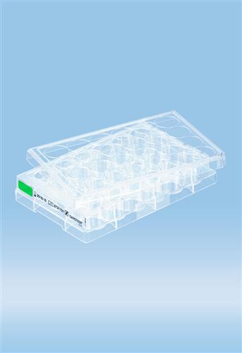 83.3922.500 | Cell culture plate, 24 well, surface: Suspension, flat base