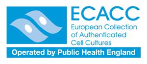 00021715-1VL | RK 13 CELL LINE RABBIT KIDNEY