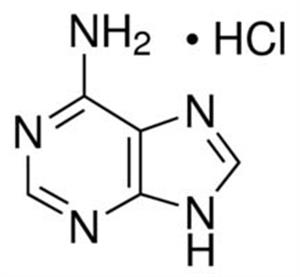 01840-25G | ADENINE MONOHYDROCHLORIDE 99.0 HPLC