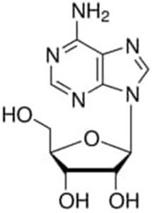 01890-25G | ADENOSINE