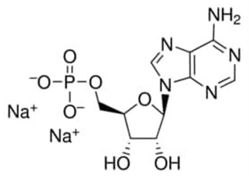 01930-5G | ADENOSINE 5 MONOPHOSPHATE DISODIUM SALT 99.0 HPLC