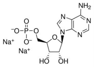 01930-5G | ADENOSINE 5 MONOPHOSPHATE DISODIUM SALT 99.0 HPLC