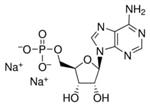 01930-5G | ADENOSINE 5 MONOPHOSPHATE DISODIUM SALT 99.0 HPLC