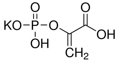10108294001 | PHOSPHOENOLPYRUVATE MONOPOTASSIUM SALT