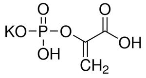 10108294001 | PHOSPHOENOLPYRUVATE MONOPOTASSIUM SALT