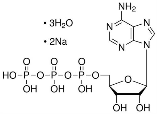10519987001 | ATP DISODIUM SALT SPECIAL QUALITY 5G