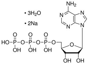 10519987001 | ATP DISODIUM SALT SPECIAL QUALITY 5G