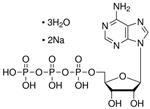 10519987001 | ATP DISODIUM SALT SPECIAL QUALITY 5G