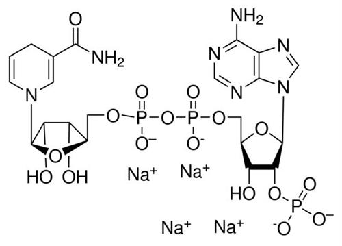 10621692001 | NADPH APPROX. 98 500 MG