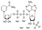 10621692001 | NADPH APPROX. 98 500 MG