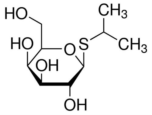 10724815001 | ISOPROPYL B D THIOGALACTOSIDE IPTG 1G