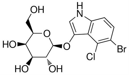10745740001 | X GAL 1G