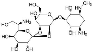 10843555001 | HYGROMYCIN B