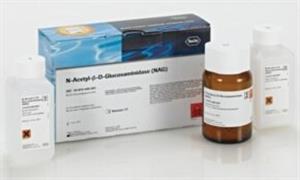 10875406001 | N ACETYL B D GLUCOS AMINIDASE