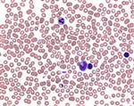 1113740100 | Buffer tablets pH 6.8for preparing buffer solution acc. to WEISE for the staining of blood smears