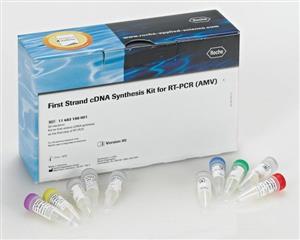 11483188001 | FIRST STRAND CDNA SYNT. KIT FOR RT PCR