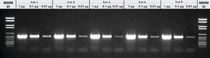 11578553001 | PCR CORE KIT