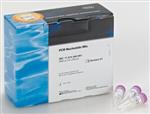 11581295001 | PCR NUCLEOTIDE MIX 200UL
