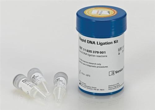 11635379001 | RAPID DNA LIGATION KIT