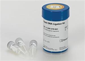 11635379001 | RAPID DNA LIGATION KIT