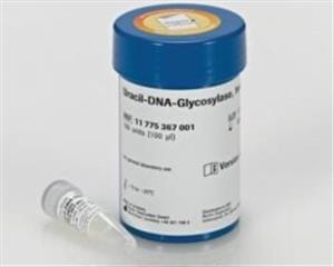 11775367001 | URACIL DNA GLYCOSYLASE HEAT LABILE 100 U