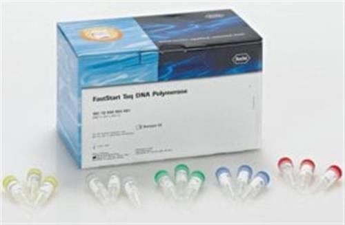 12032929001 | FASTSTART TAQ DNA POLYMERASE 500 U