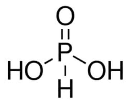 215112-500G | PHOSPHOROUS ACID 99