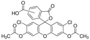 21884-100MG | 5 6 CARBOXY 2 7 DICHLOROFLUORESCEIN DIACETATE BIOR