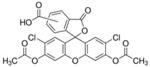 21884-100MG | 5 6 CARBOXY 2 7 DICHLOROFLUORESCEIN DIACETATE BIOR