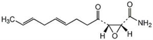 219557-5MG | CERULENIN CEPHALOSPORIUM CA 1PC X 5MG