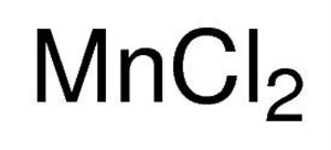 244589-10G | MANGANESE II CHLORIDE POWDER AND CHUNKS 99 TRACE M