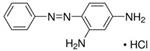 27240-25G-F | CHRYSOIDINE G FOR MICROSCOPY