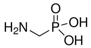 324817-250MG | AMINOMETHYL PHOSPHONIC ACID 99