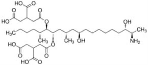 32606-1ML | FUMONISIN B3 SOLUTION OEKANAL 50 5G ML