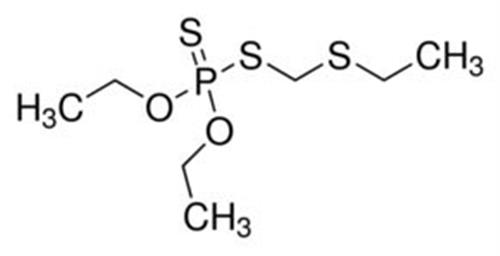 33388-100MG | PHORATE PESTANAL