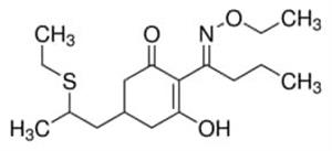 36795-10MG | SETHOXYDIM PESTANAL 10MG