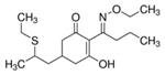 36795-10MG | SETHOXYDIM PESTANAL 10MG