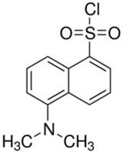 39220-5G-F | DANSYL CHLORIDE SUITABLE FOR FLUORESCENCE BIOREAGE