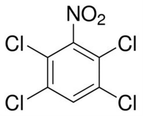 40384-1G | 1 2 4 5 TETRACHLORO 3 NITROBENZENE