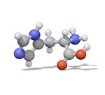 407710-25GM | IODOACETAMIDE 1PC X 25GM