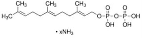 44722-5MG | TRANS TRANS FARNESYL PYROPHOSPHATE AMMONIUM SALT A