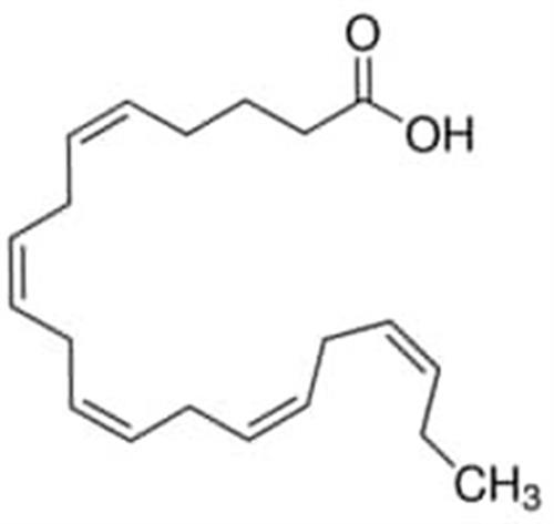 44864-500MG | 5 8 11 14 17 EICOSAPENTAENOIC ACID