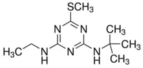 45677-250MG | TERBUTRYN PESTANAL 250 MG