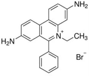 46067-250ML-F | ETHIDIUM BROMIDE SOLUTION FOR FLUOR ESCENCE CA. 1